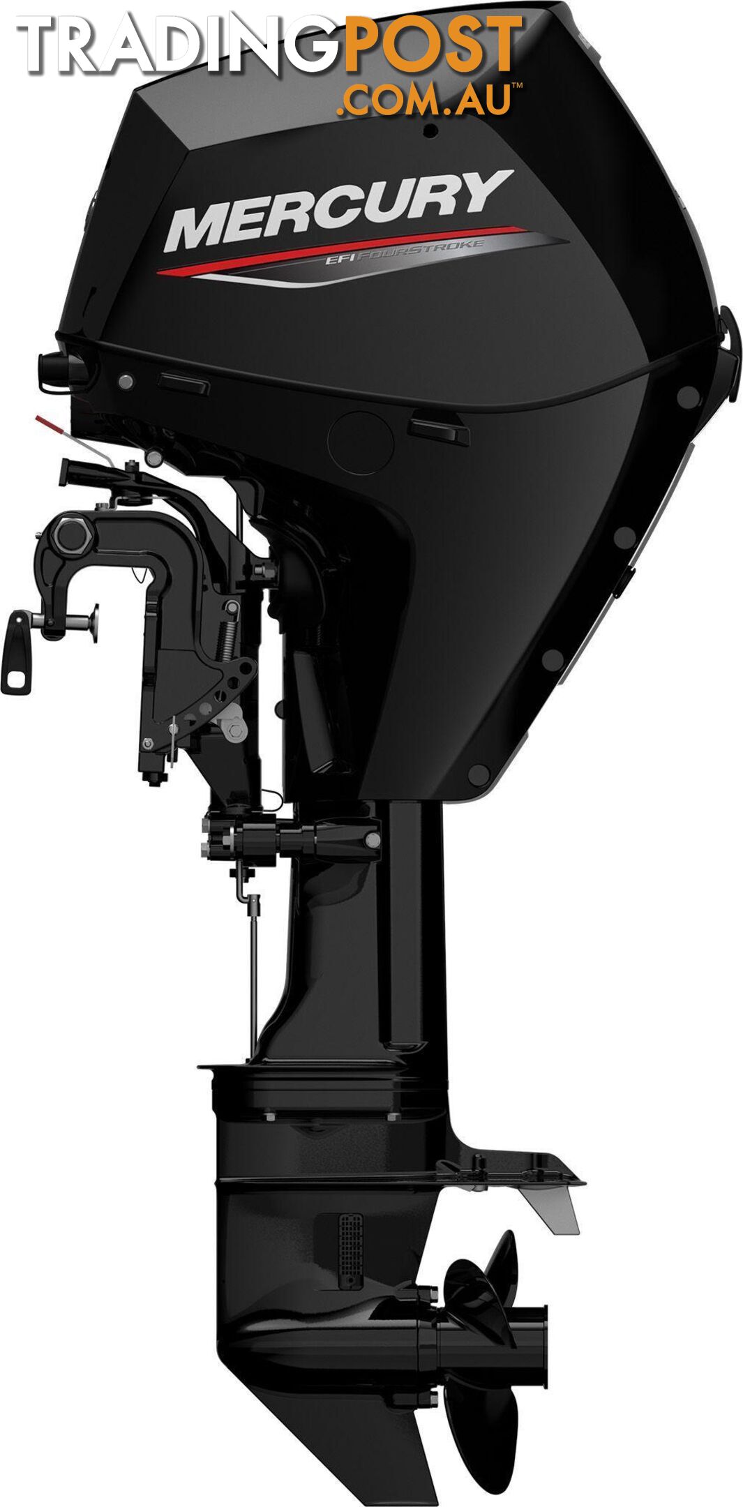 Mercury 25 HP EFI Fourstroke