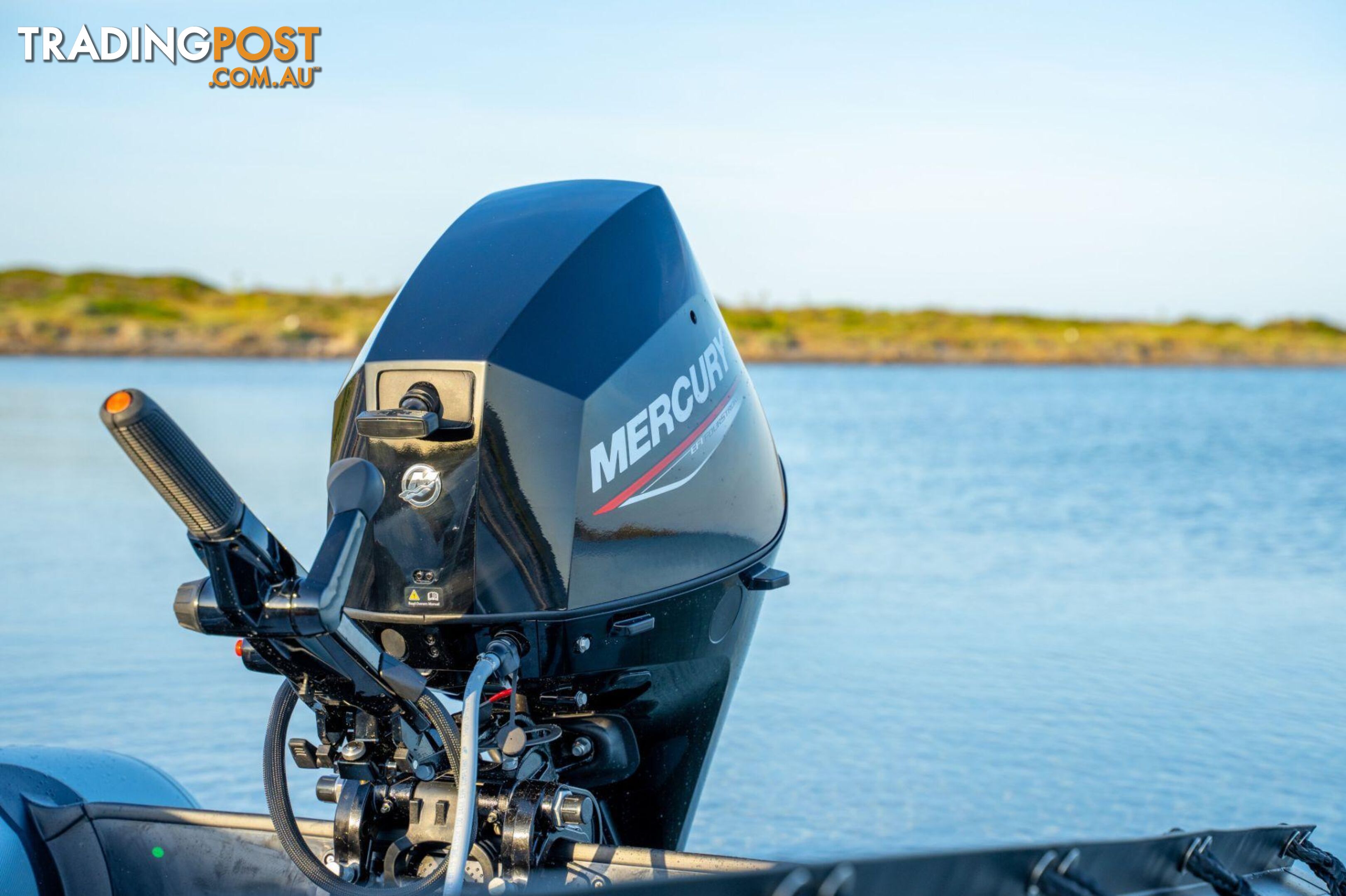 Mercury 25 HP EFI Fourstroke