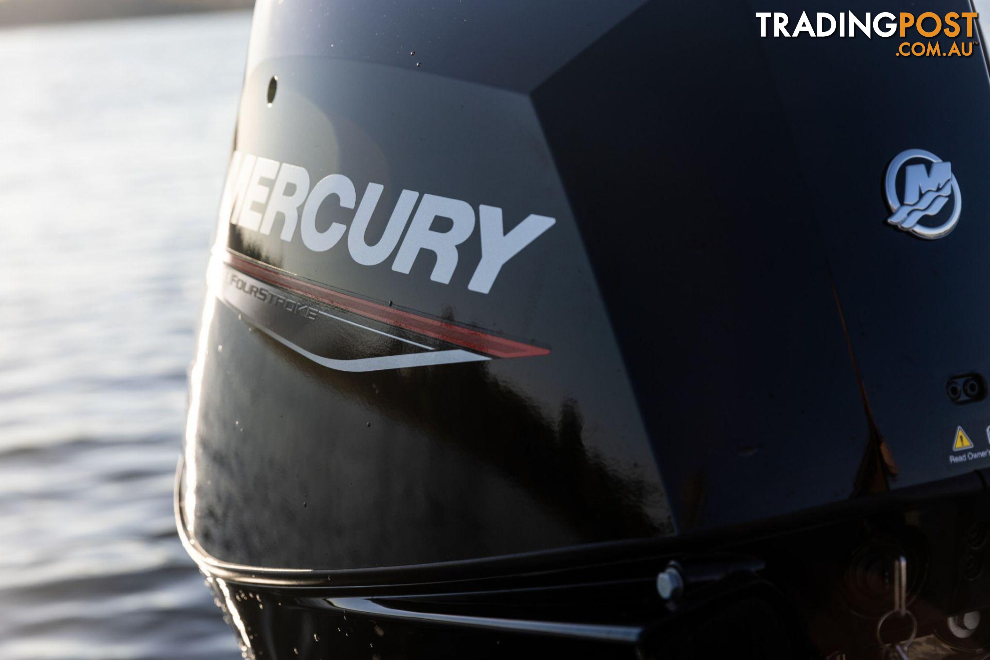 Mercury 30 HP EFI Fourstroke