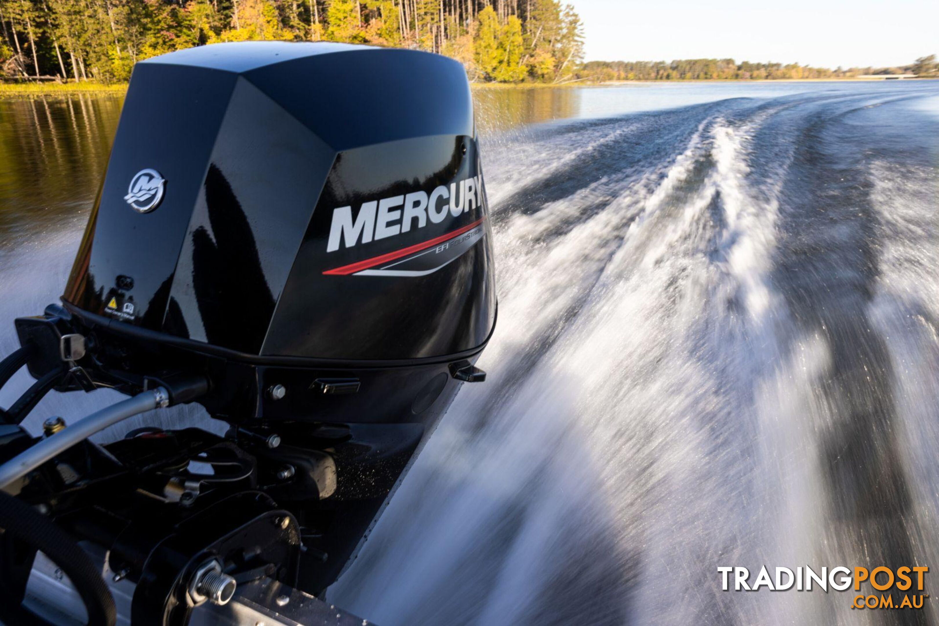 Mercury 30 HP EFI Fourstroke