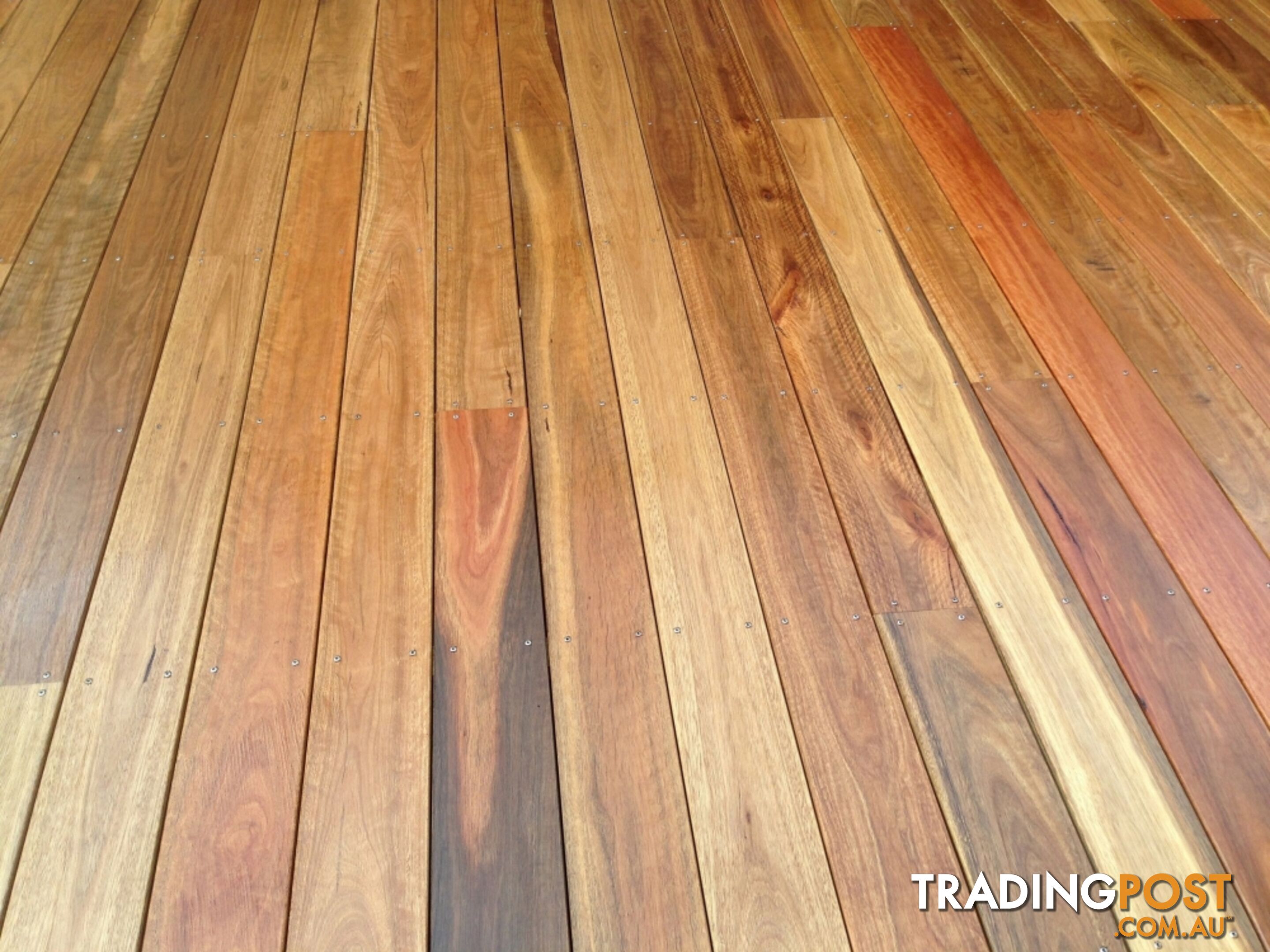 Decking Spotted Gum 86 x 19 mm