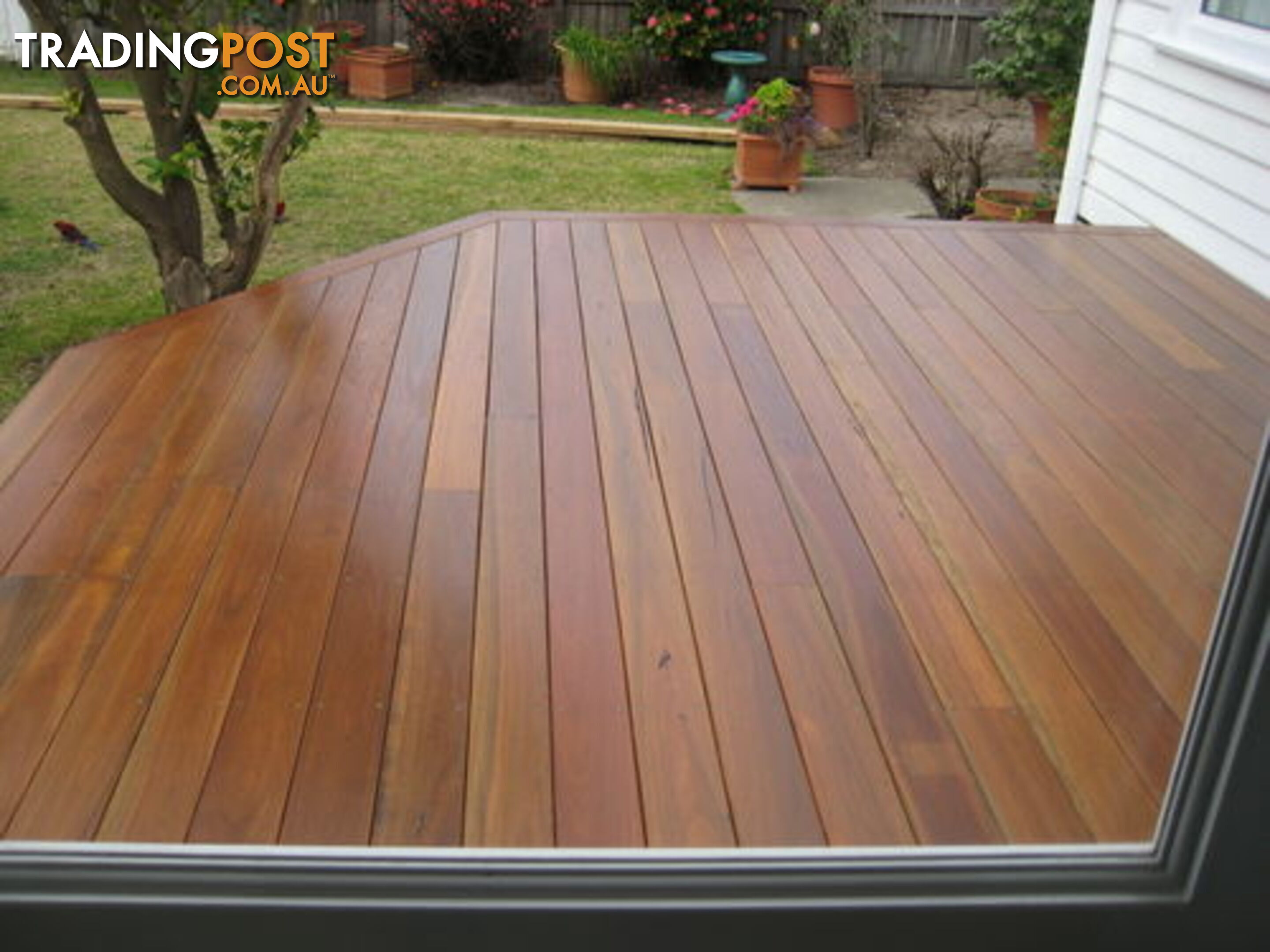 Decking Spotted Gum 86 x 19 mm