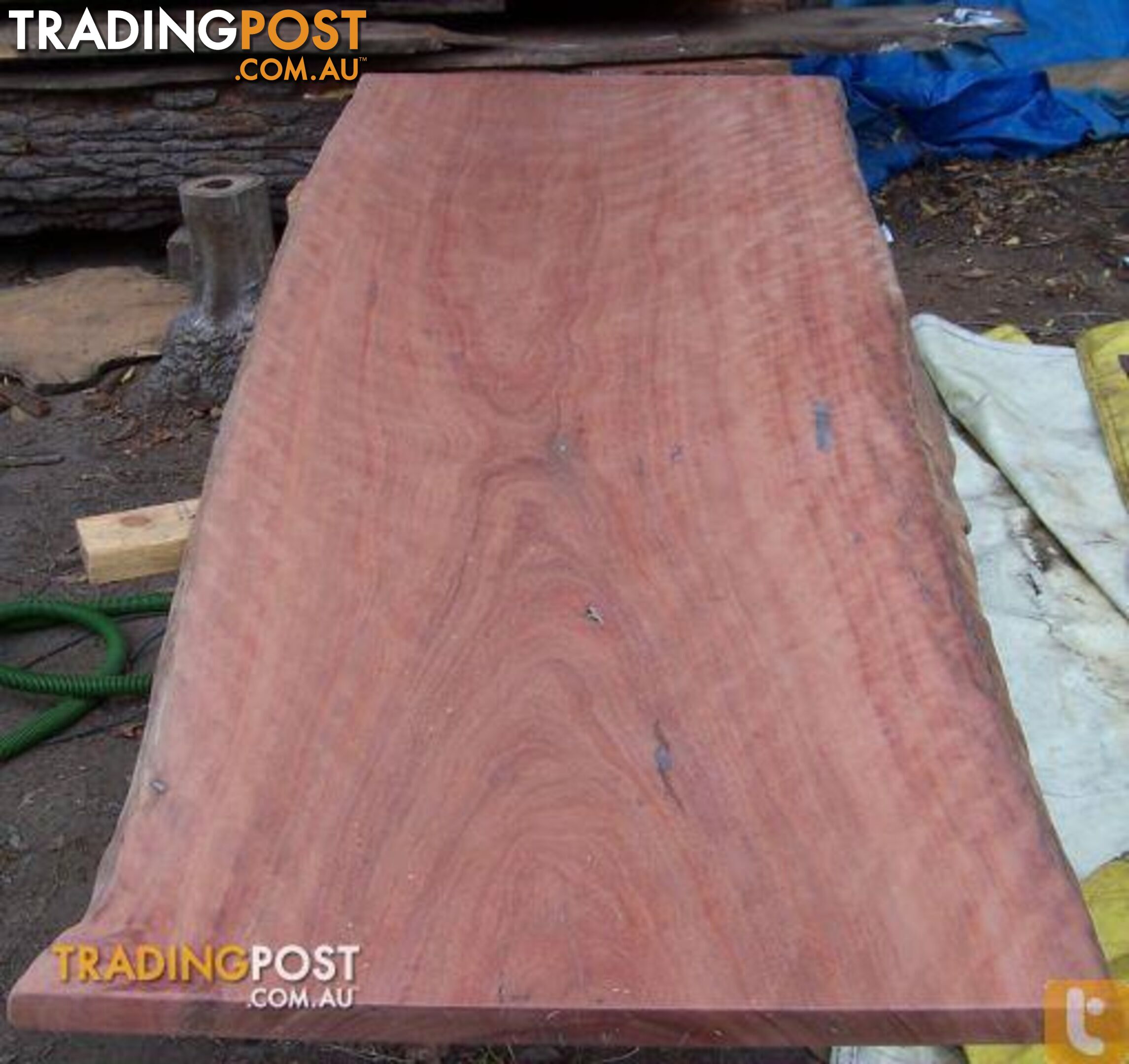 Timber Natural Edge Slabs