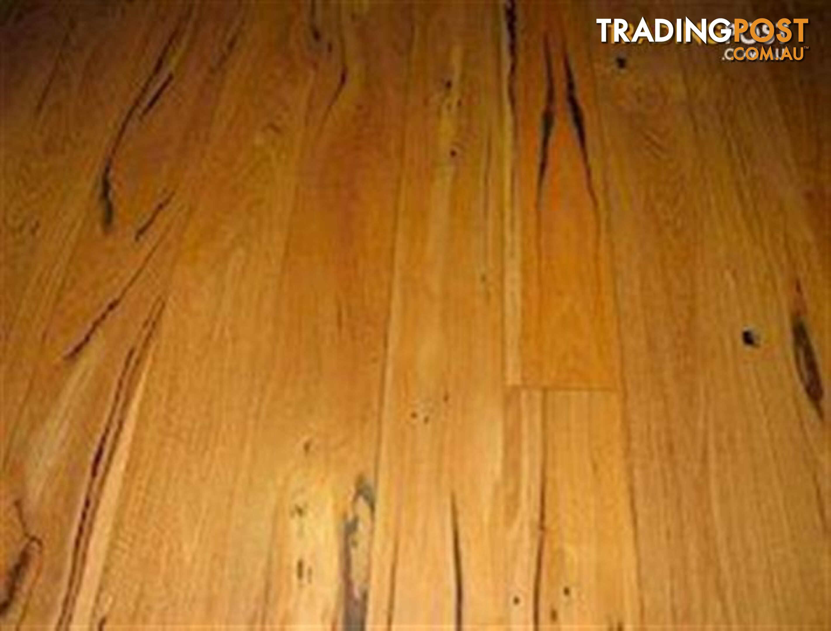 Blackbutt Hardwood Flooring Feature Grade