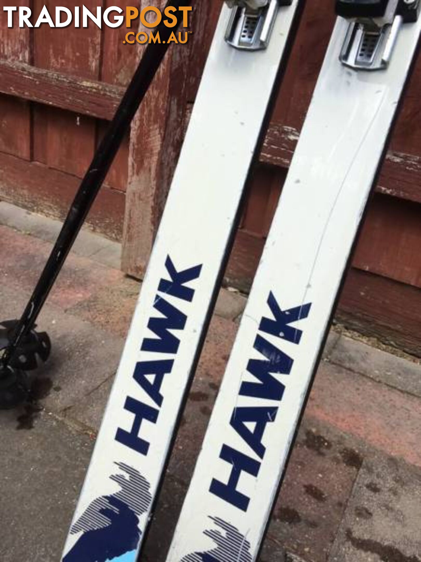 ROSSIGNOL LIMITED EDITION HAWK SKI'S & SALOMON BINDINGS