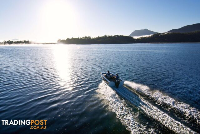 Quintrex F440 Explorer Trophy Tiller Steer + Yamaha F50hp - PACK 1 FOR SALE - photo 3 of 21