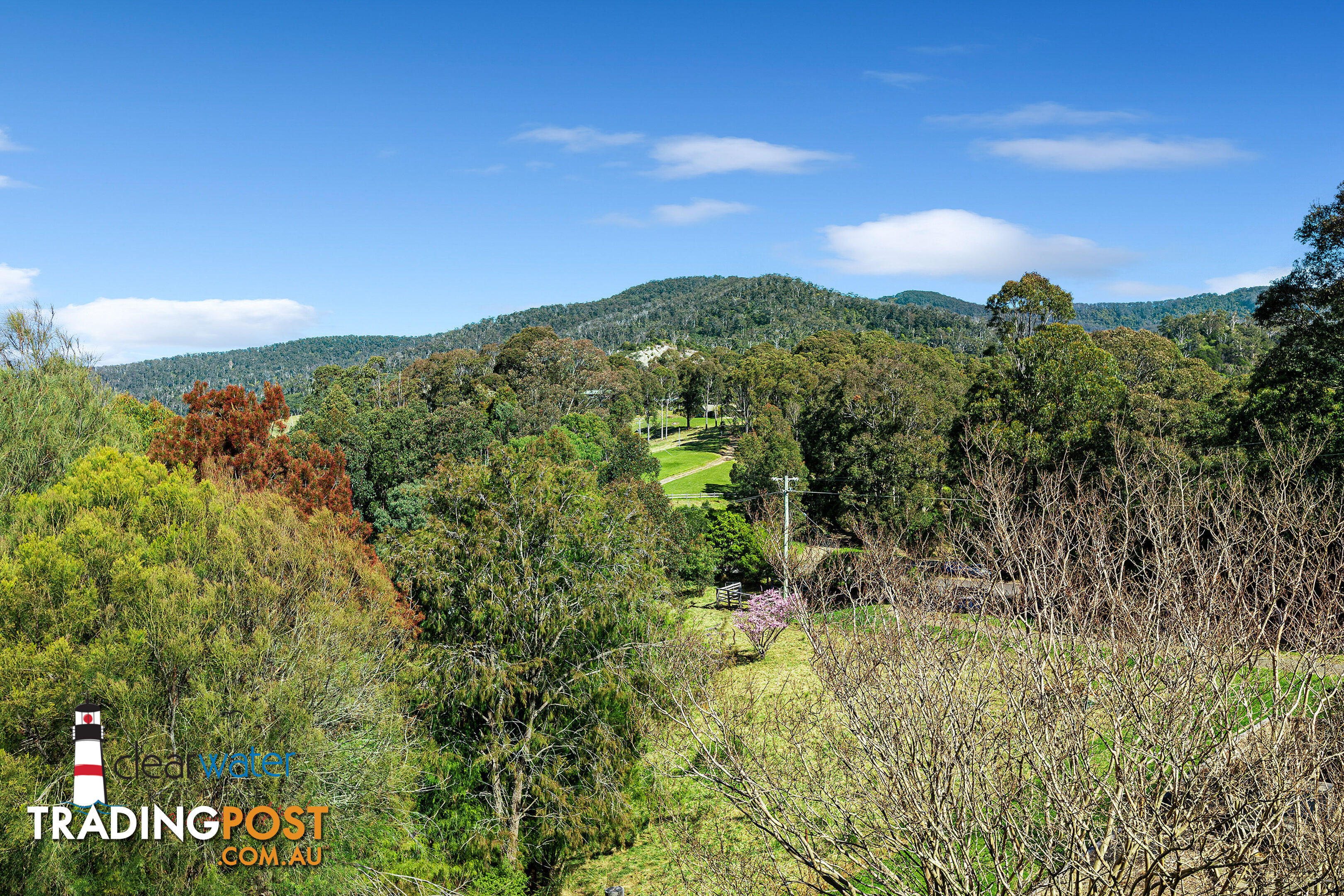 459 Ridge Rd Central Tilba NSW 2546