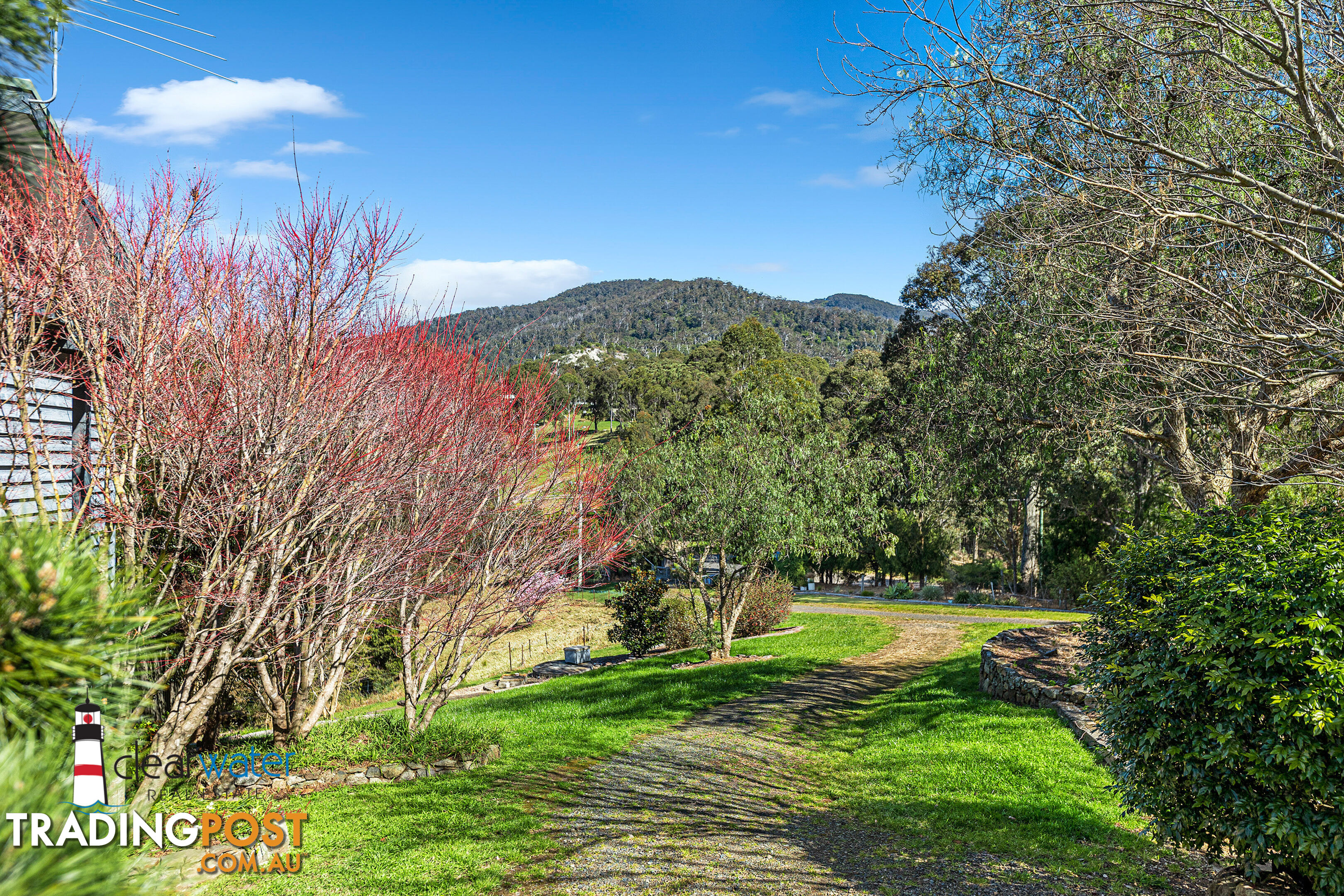 459 Ridge Rd Central Tilba NSW 2546