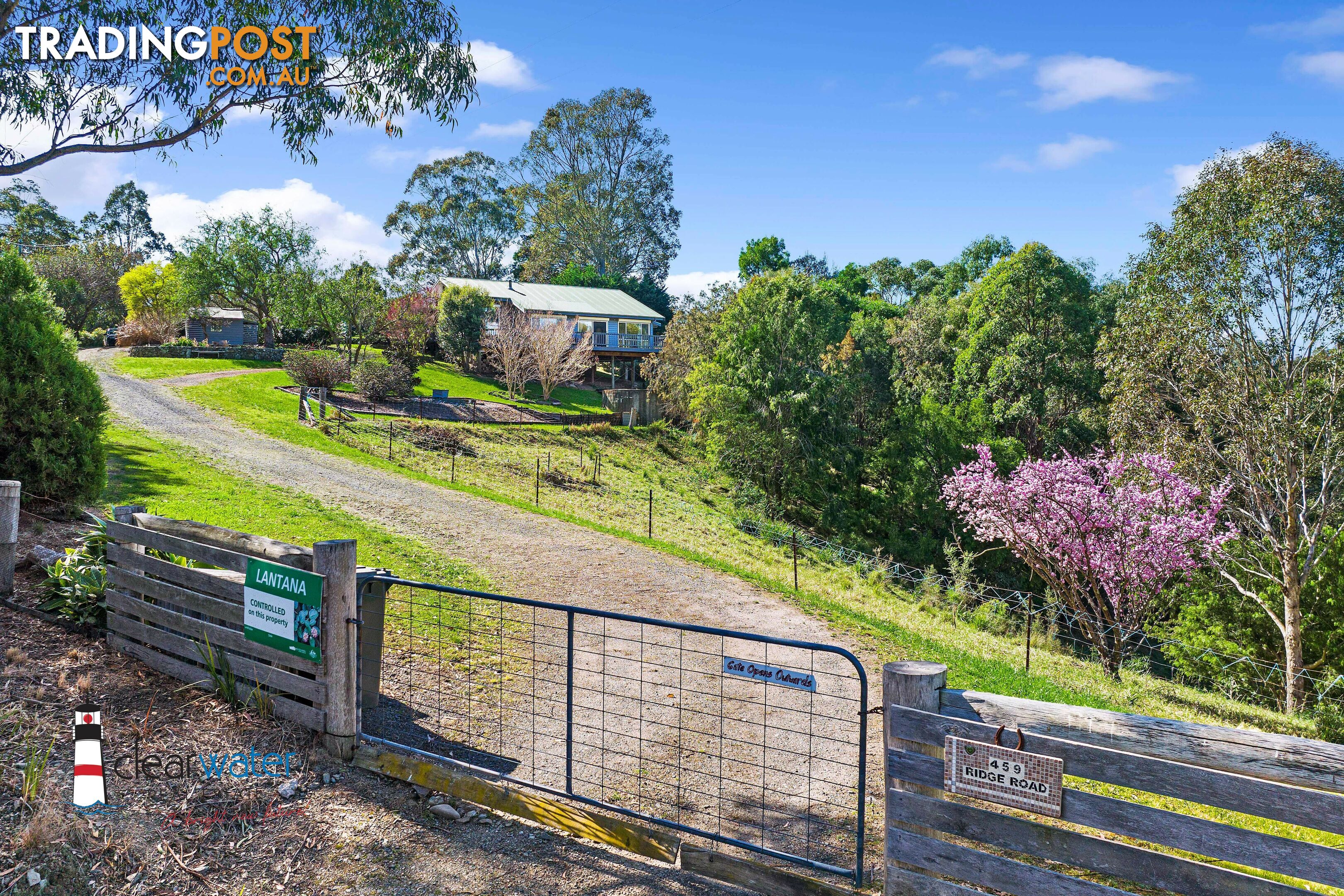 459 Ridge Rd Central Tilba NSW 2546