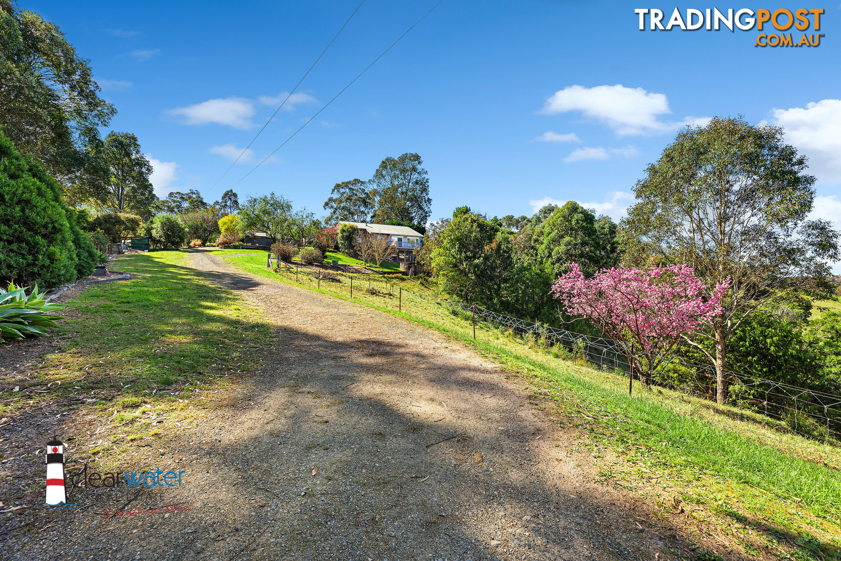 459 Ridge Rd Central Tilba NSW 2546