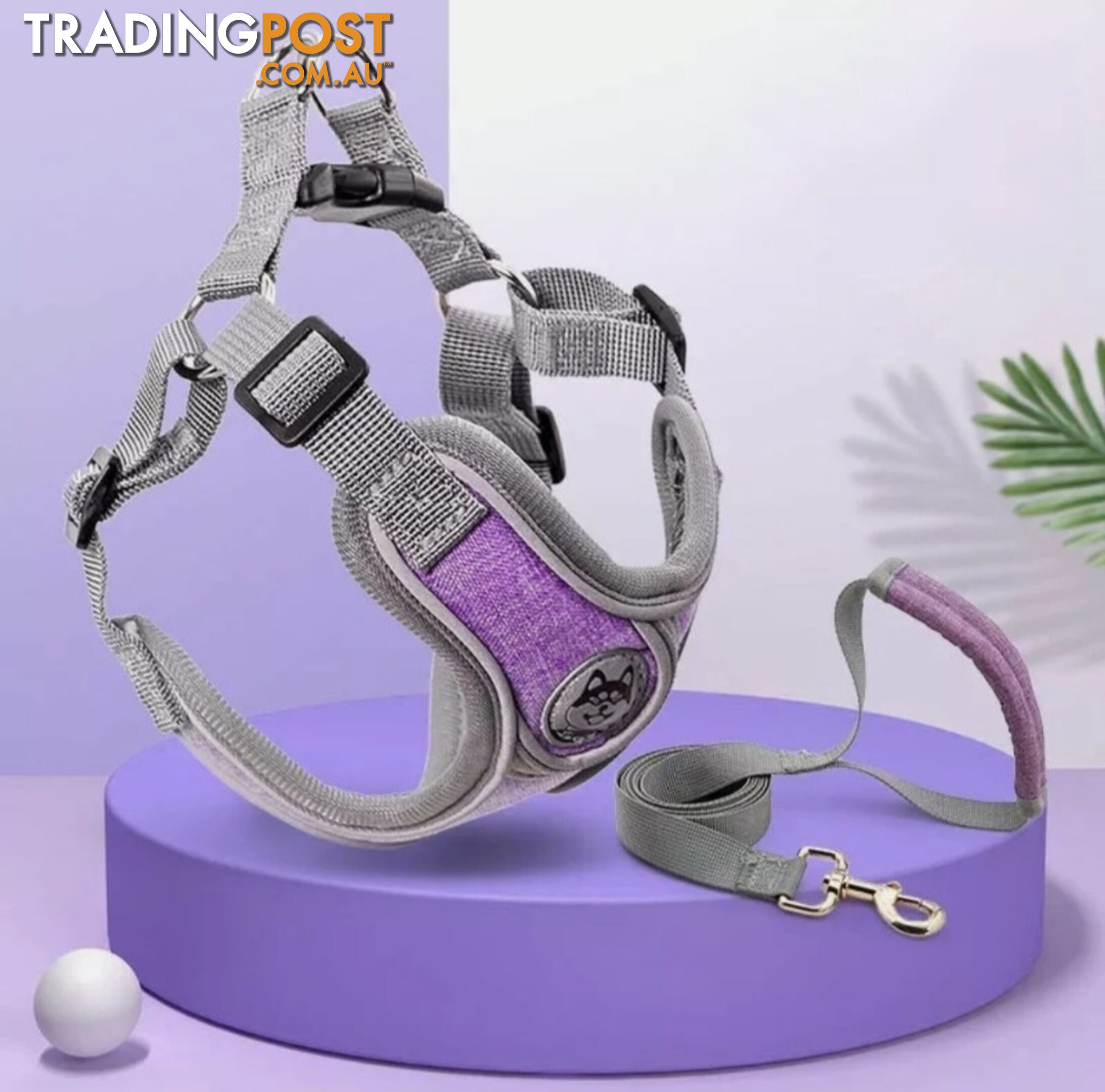 REFLECTIVE HARNESS & LEAD SET