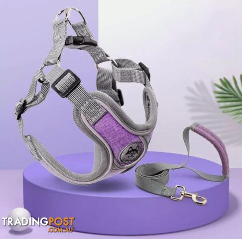 REFLECTIVE HARNESS & LEAD SET