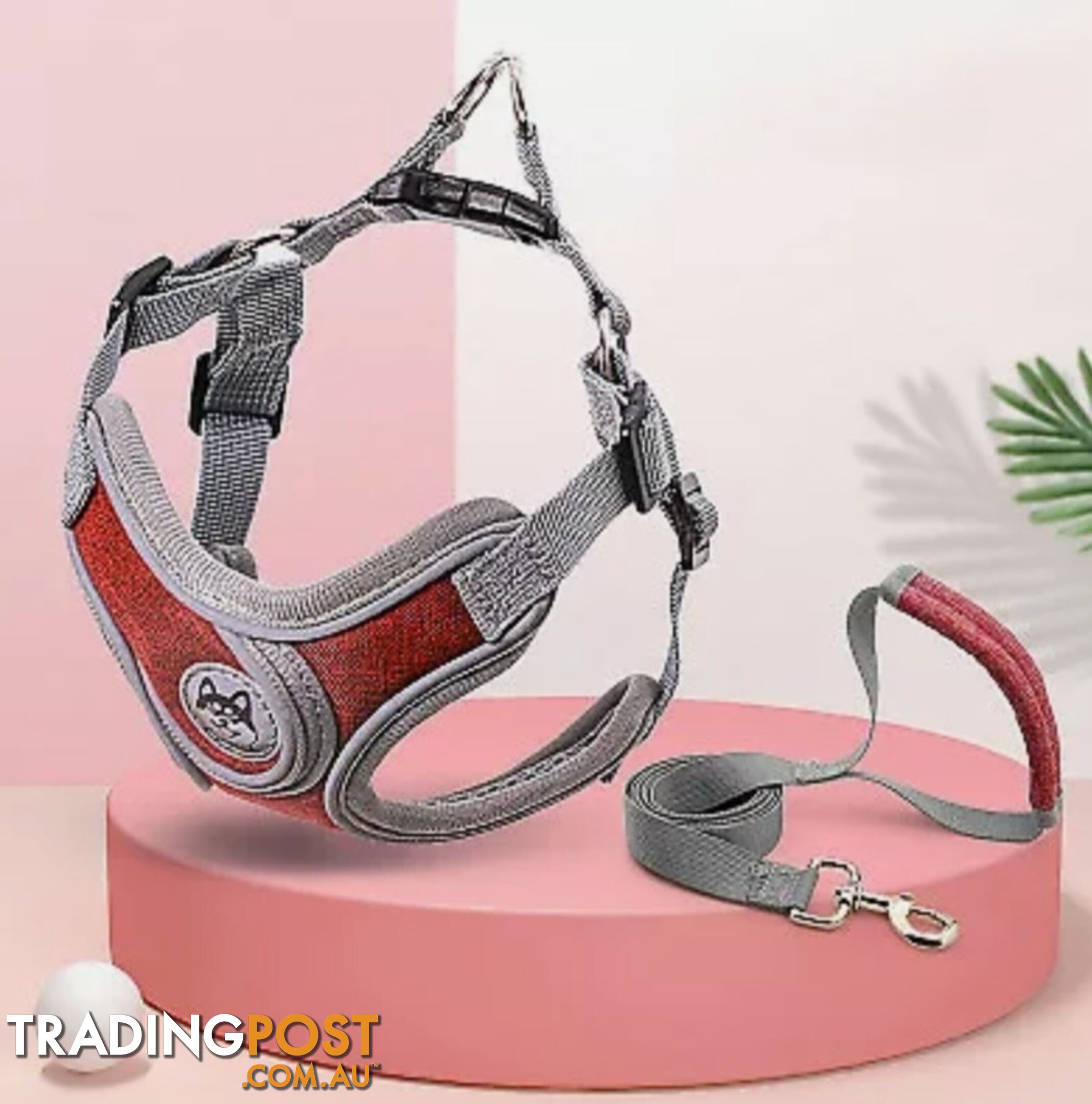 REFLECTIVE HARNESS & LEAD SET