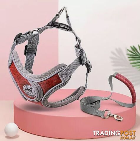 REFLECTIVE HARNESS & LEAD SET