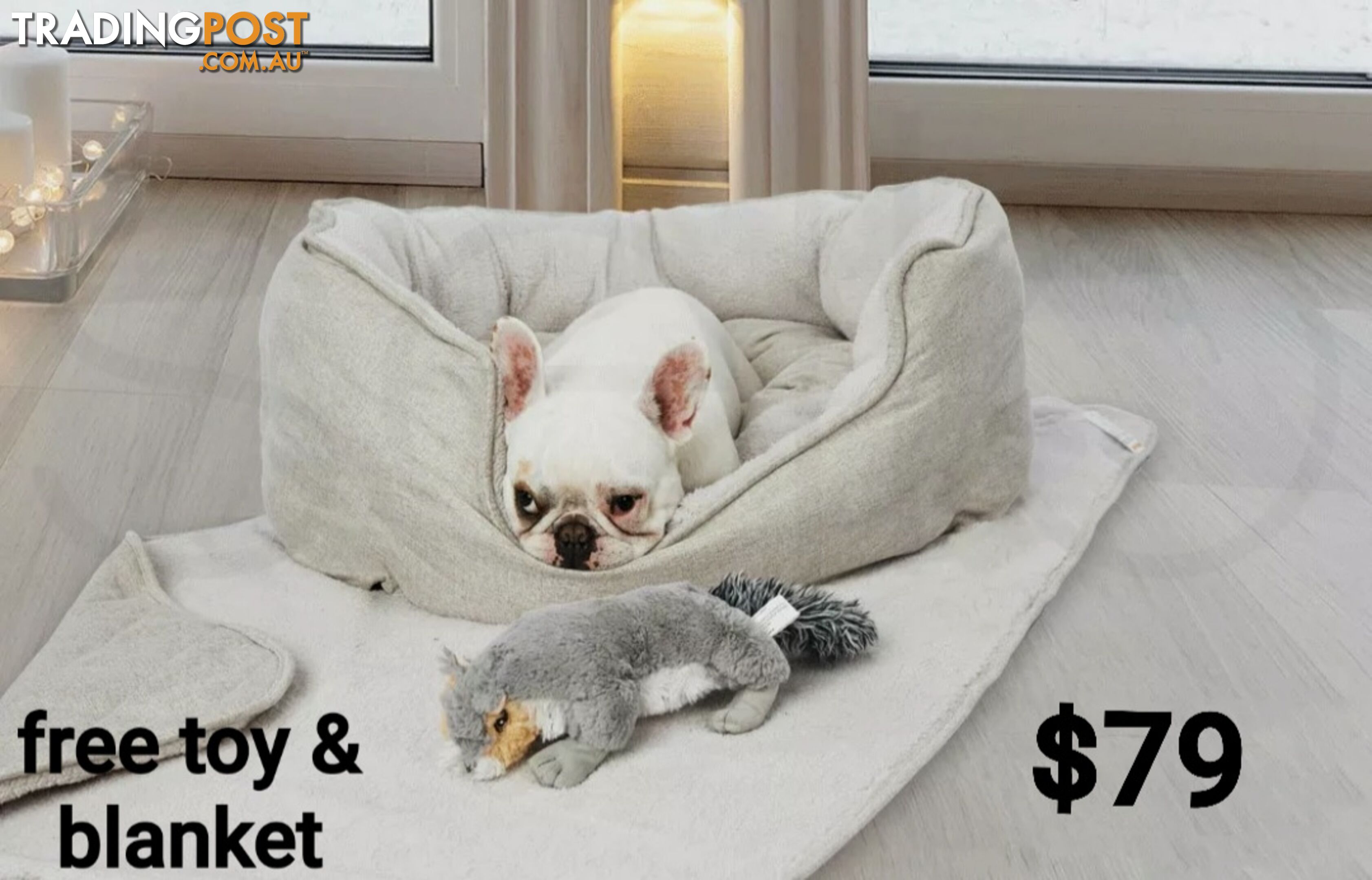 WARM COMFORTABLE TRENDY PUPPY/DOG BEDS
