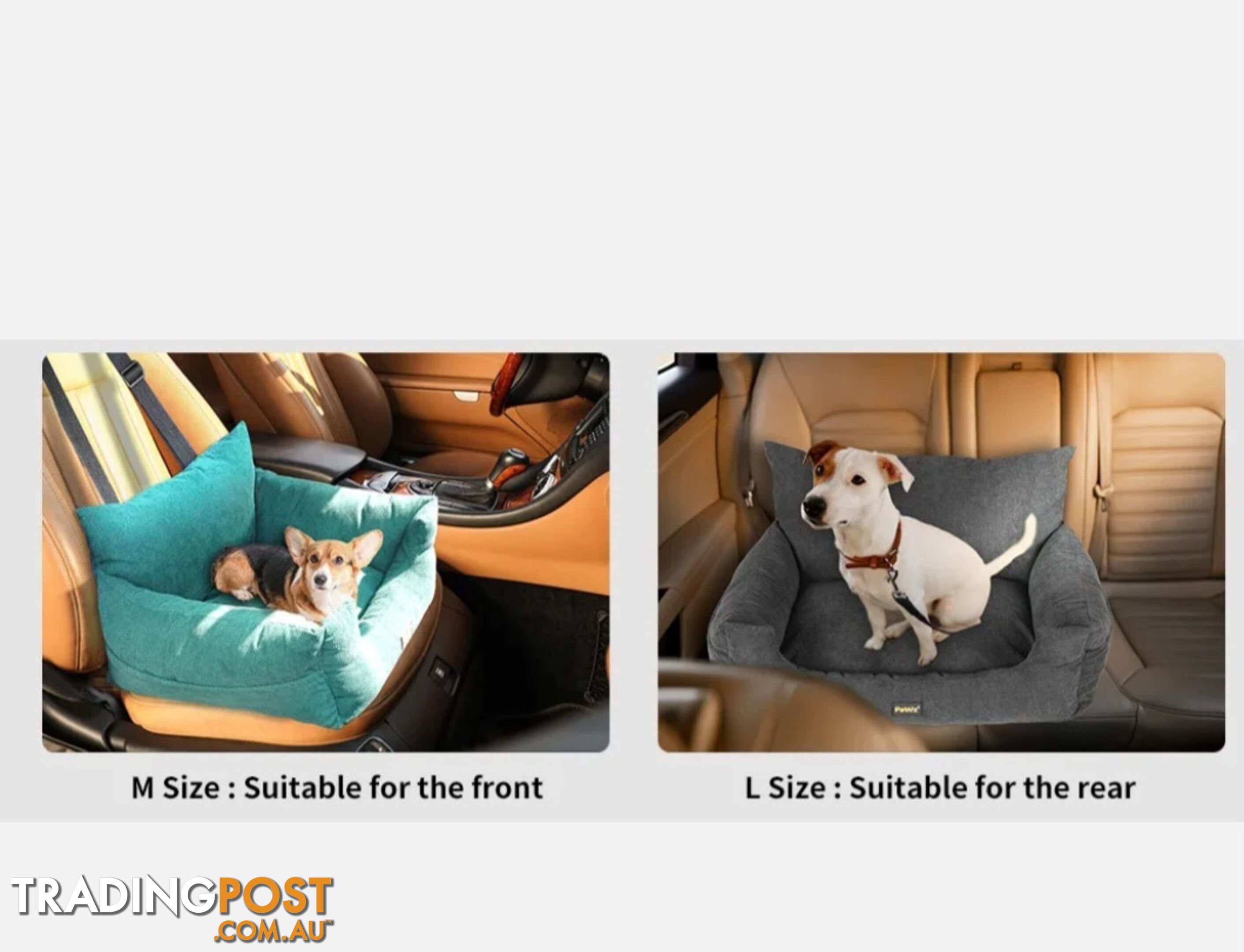 PET CAR SEAT AND SEATBELTS