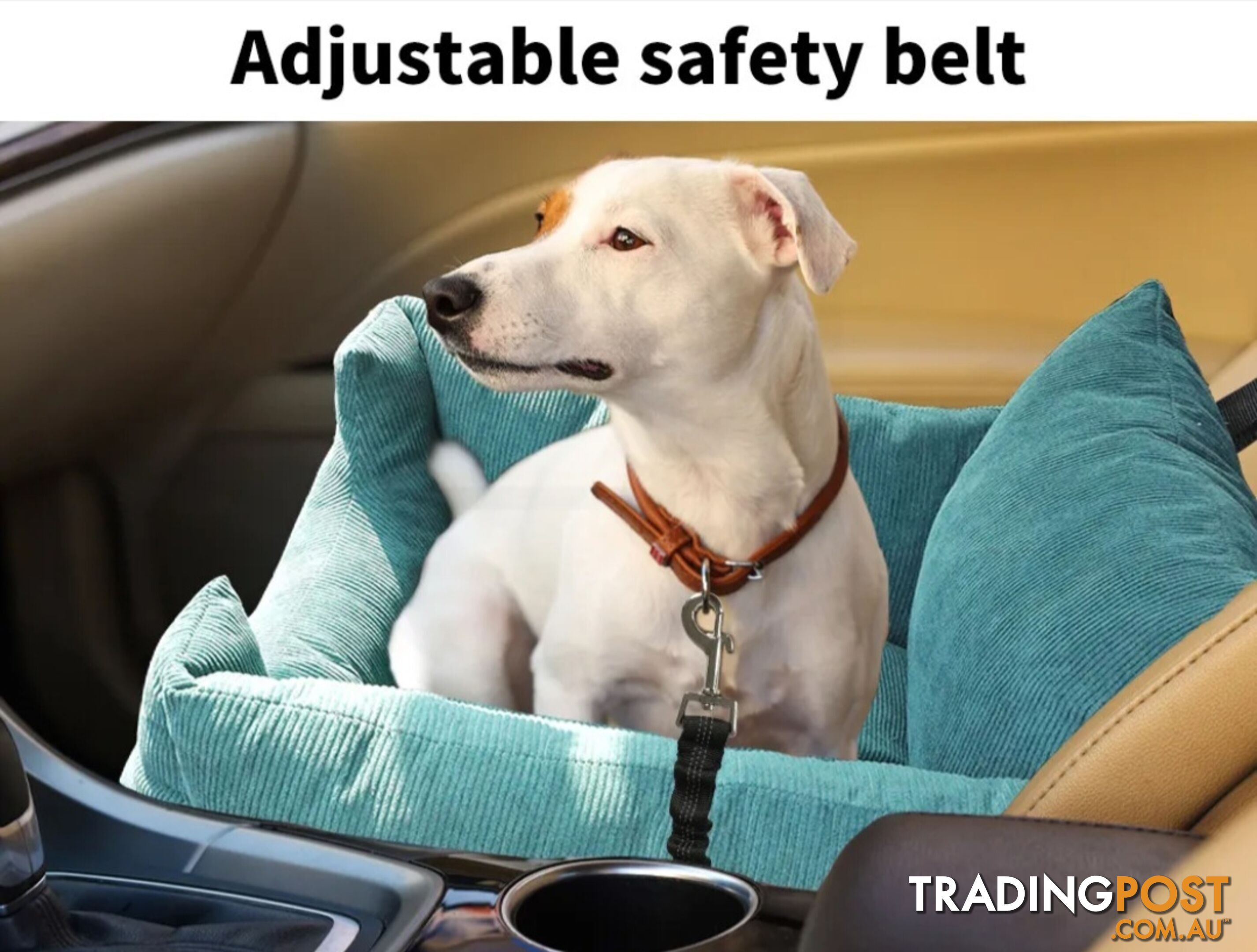 PET CAR SEAT AND SEATBELTS