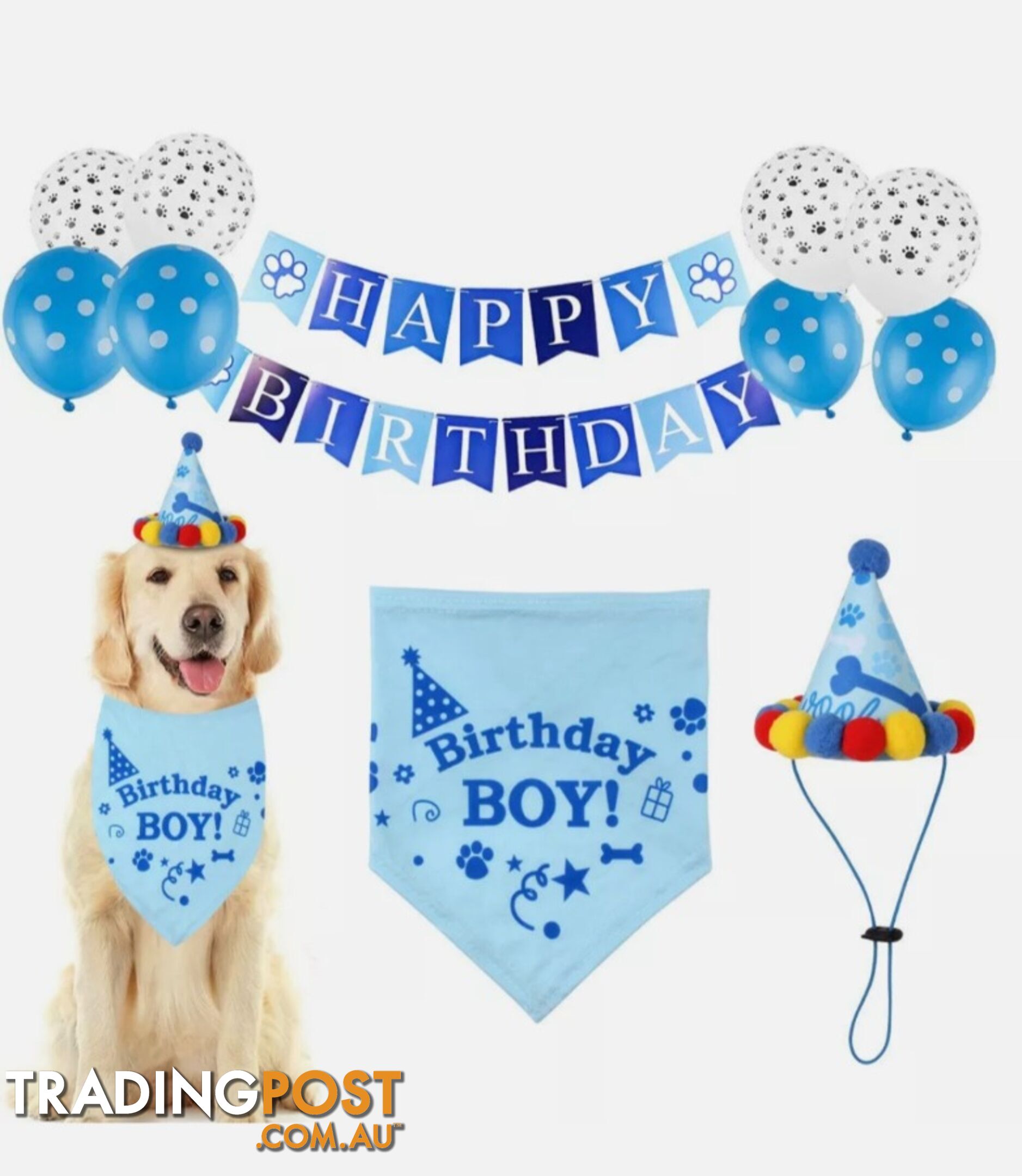 PUPPY BIRTHDAY BOXES