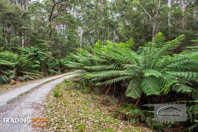 Lot Ringle Doddy Road SOUTH FOREST TAS 7330