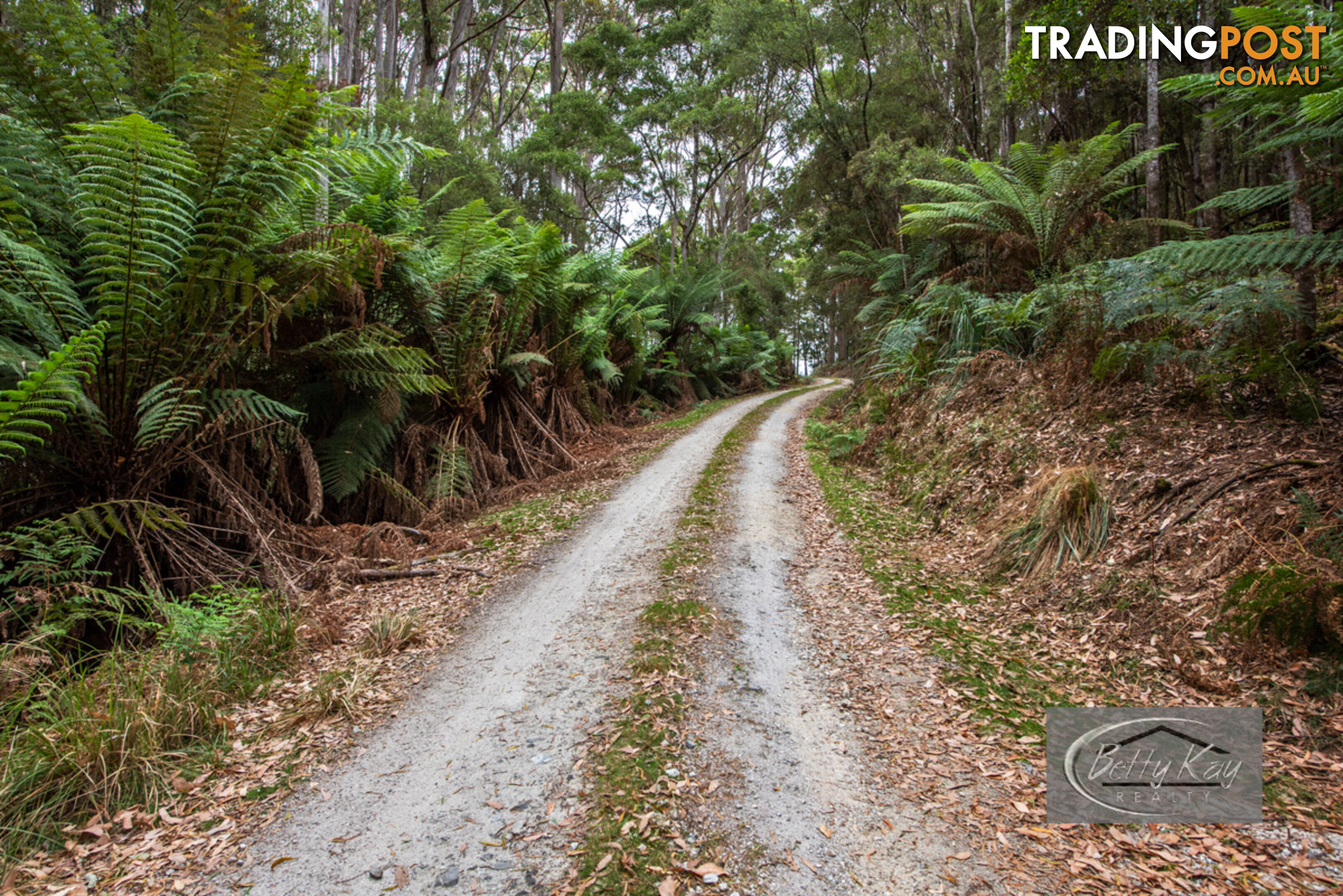 Lot Ringle Doddy Road SOUTH FOREST TAS 7330