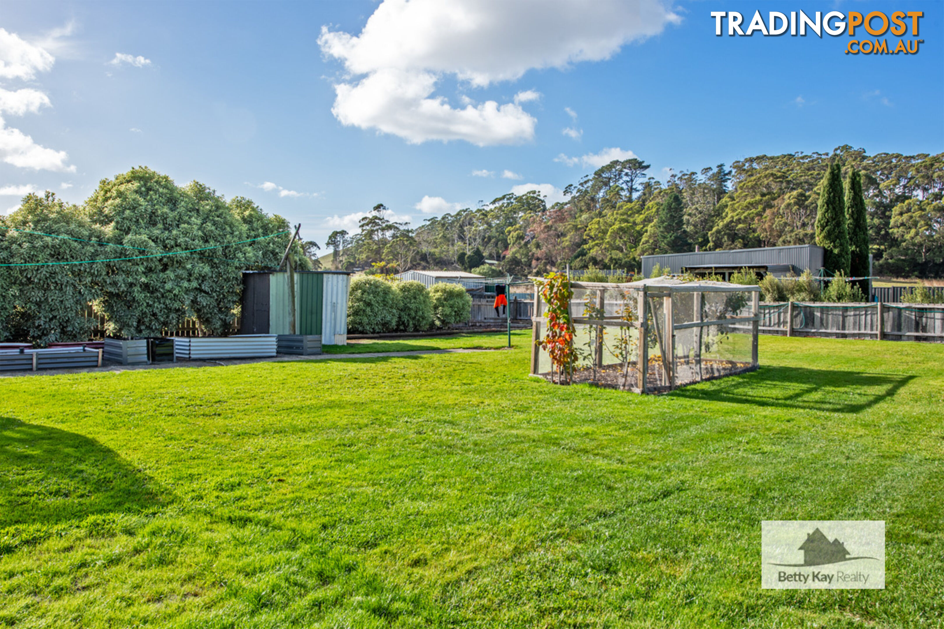 3 Nelson Street SMITHTON TAS 7330