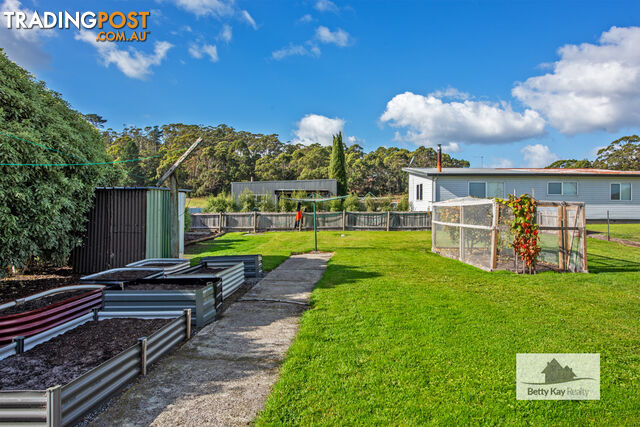 3 Nelson Street SMITHTON TAS 7330