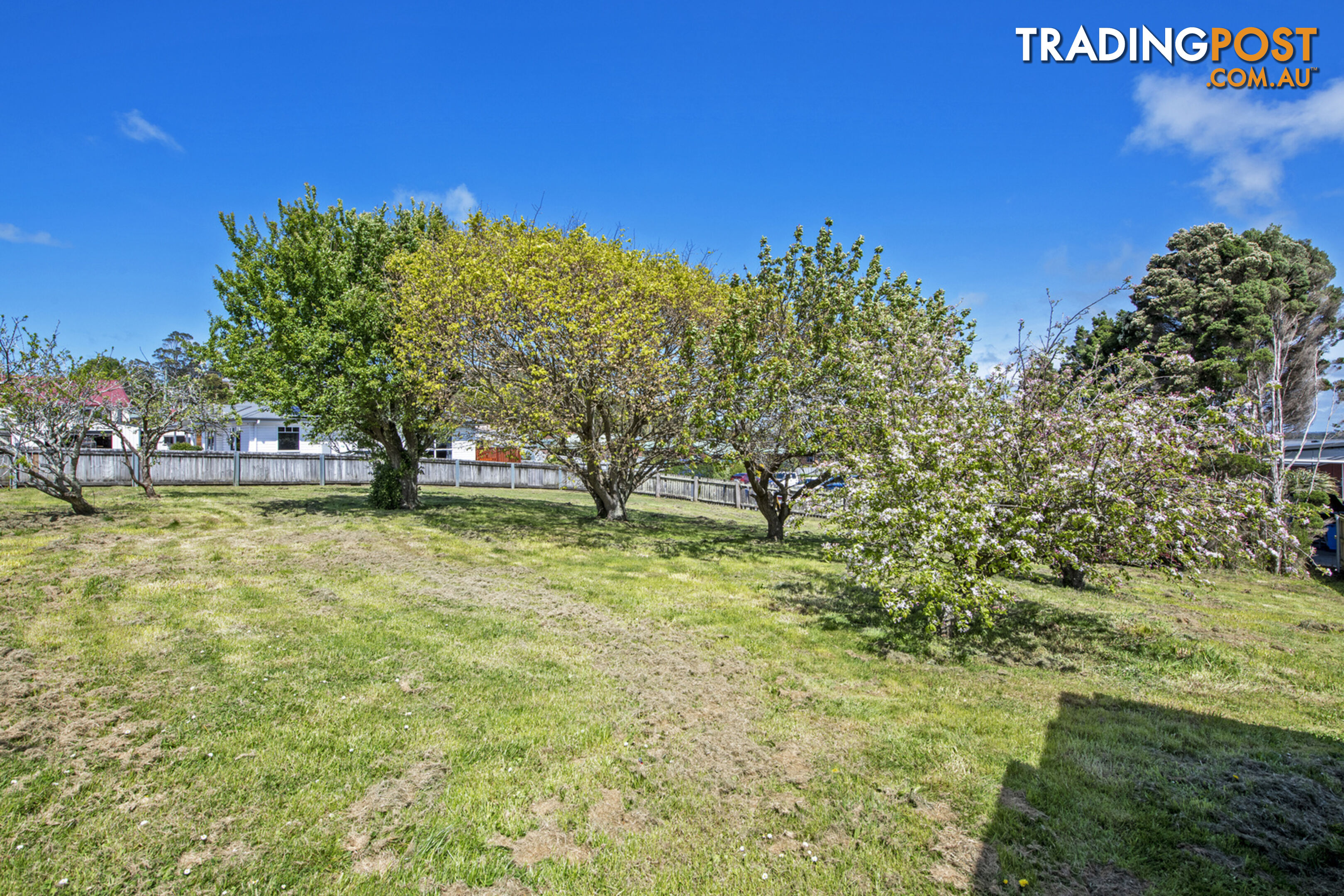 8 Goldie Street SMITHTON TAS 7330