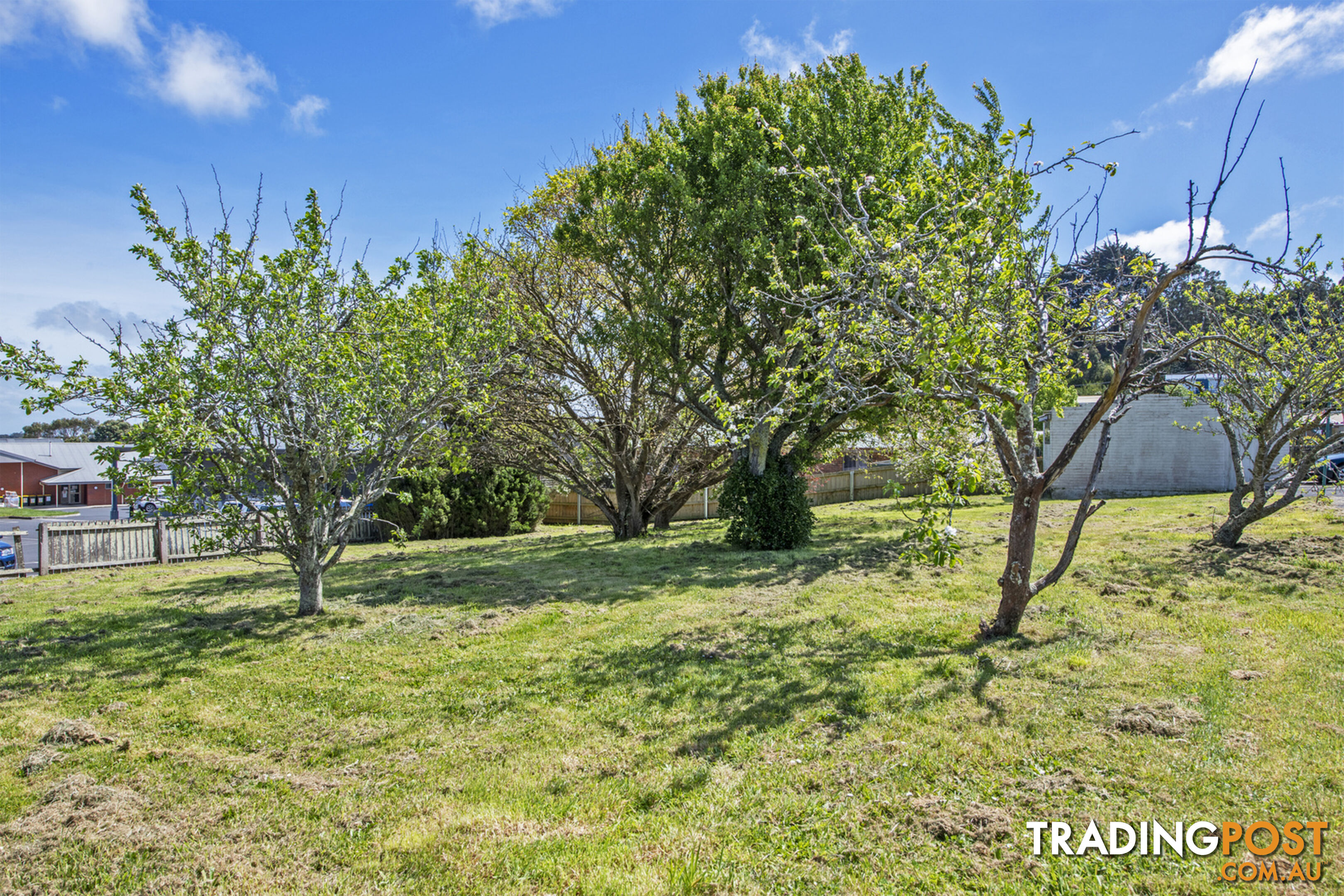 8 Goldie Street SMITHTON TAS 7330