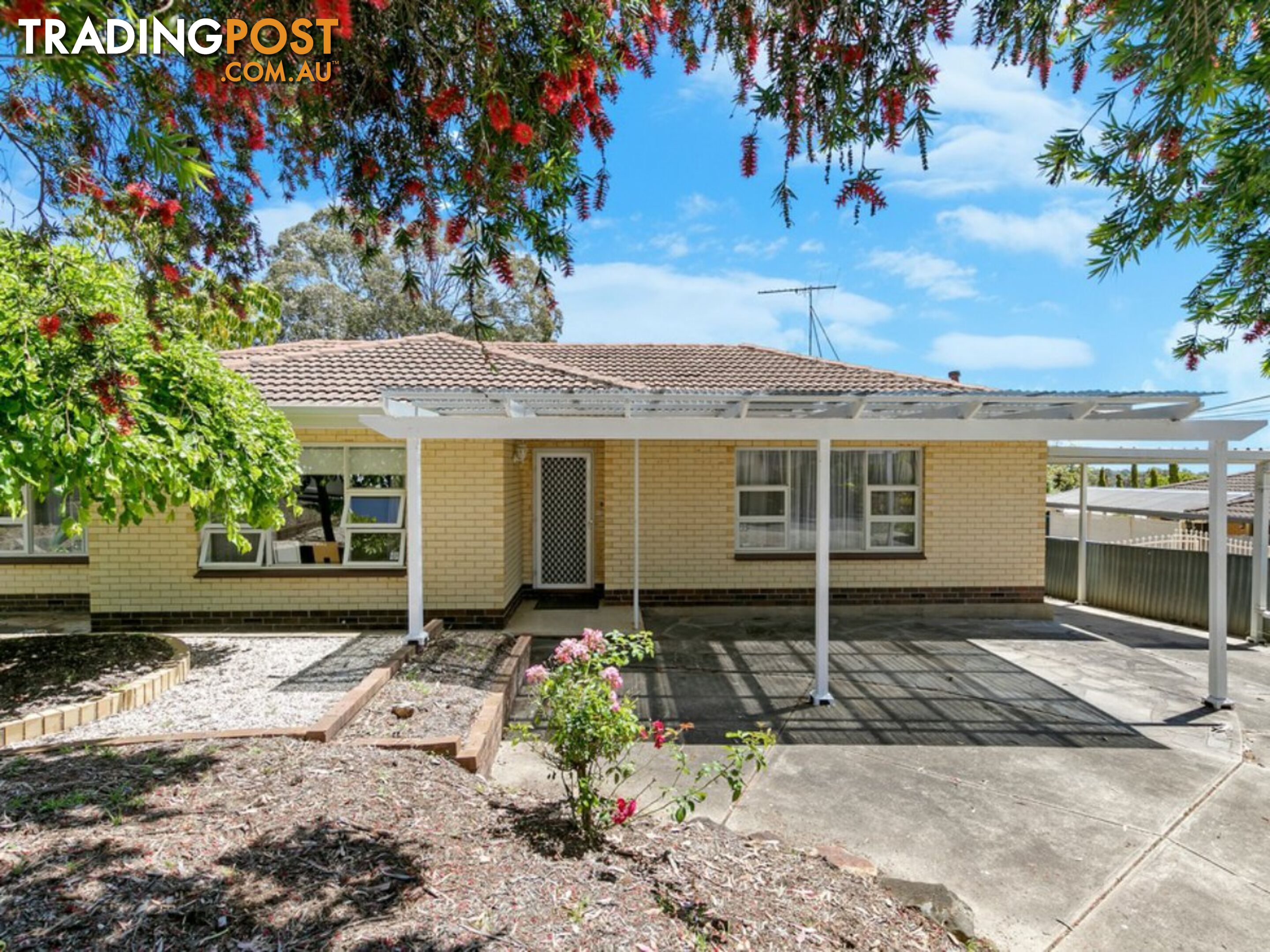 14 Euroa Avenue BANKSIA PARK SA 5091