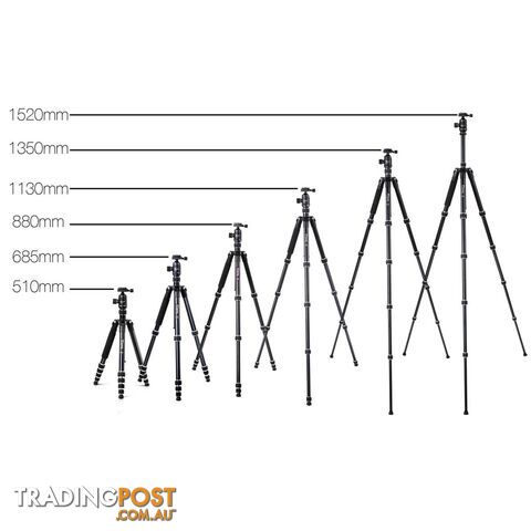 Professional 2 IN 1 Monopod/Tripod Digital Camera 152cm