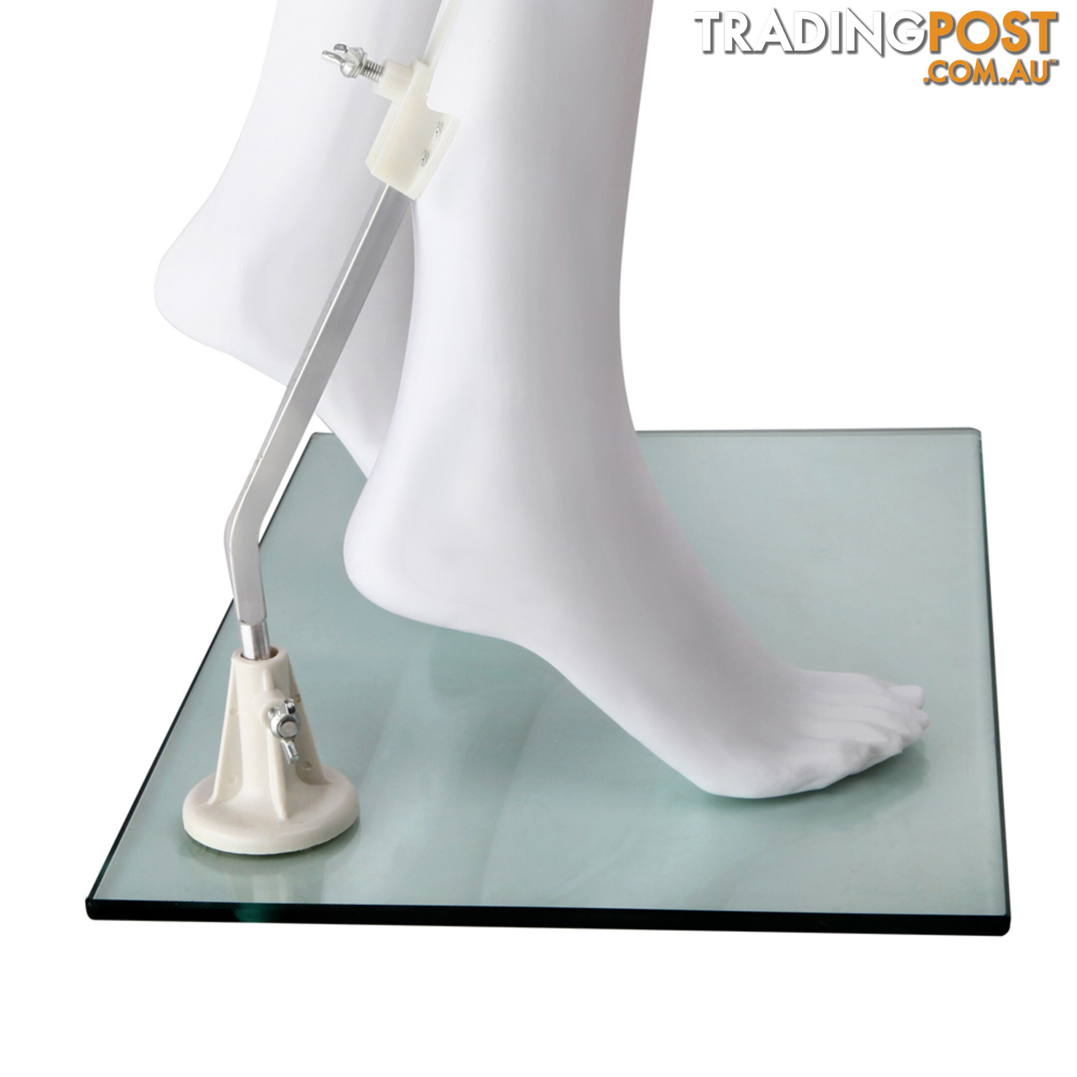 Full Body Female Mannequin Cloth Display Tailor Dressmaker Egg Head White 175cm