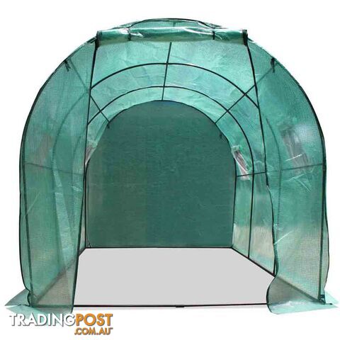 Greenhouse with Green PE Cover - 3M x 2M