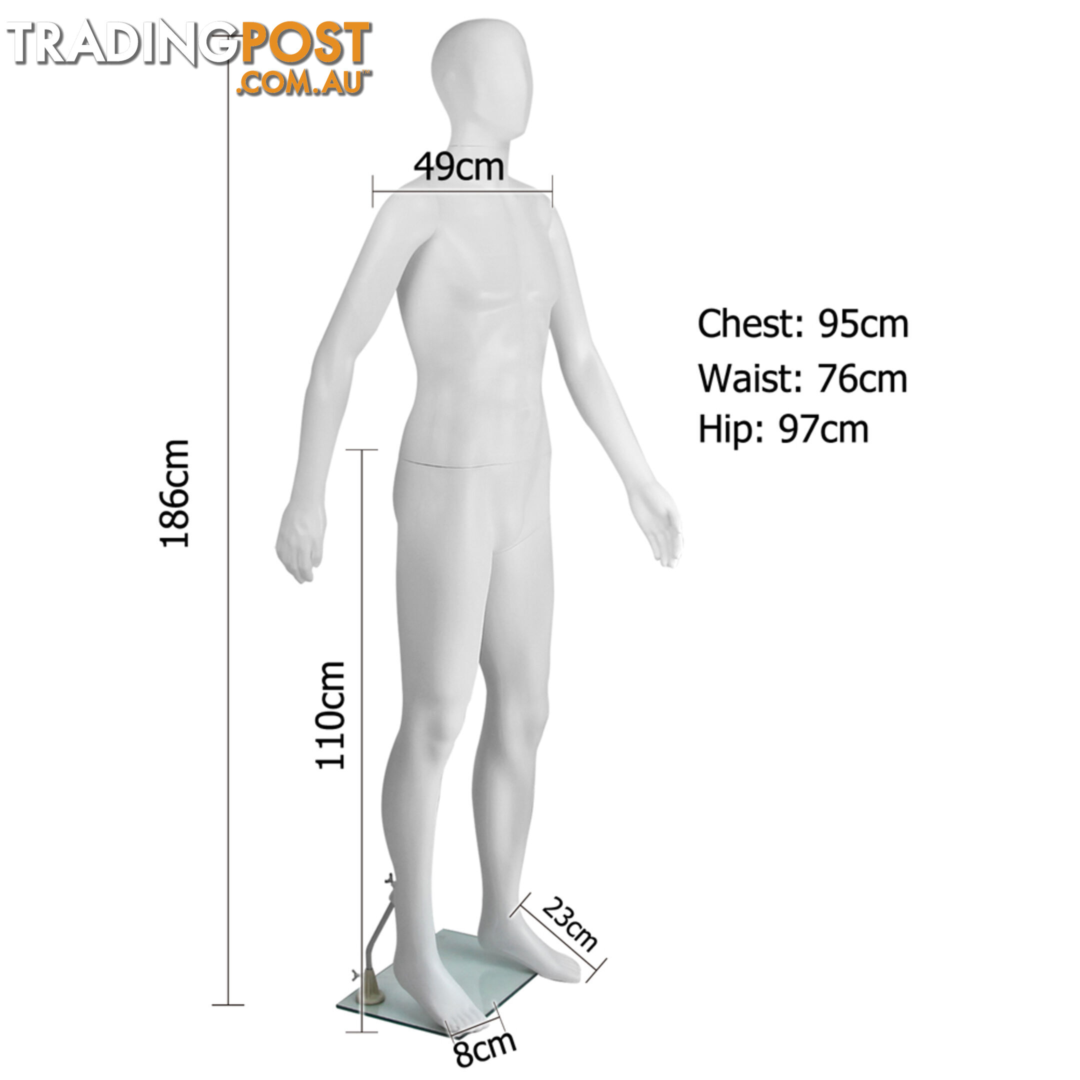 Full Body Male Mannequin Cloth Display Tailor Dressmaker White 186cm