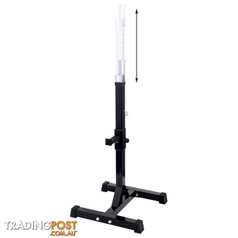 Squat Rack Bench Press Weight Lifting Stand Fitness