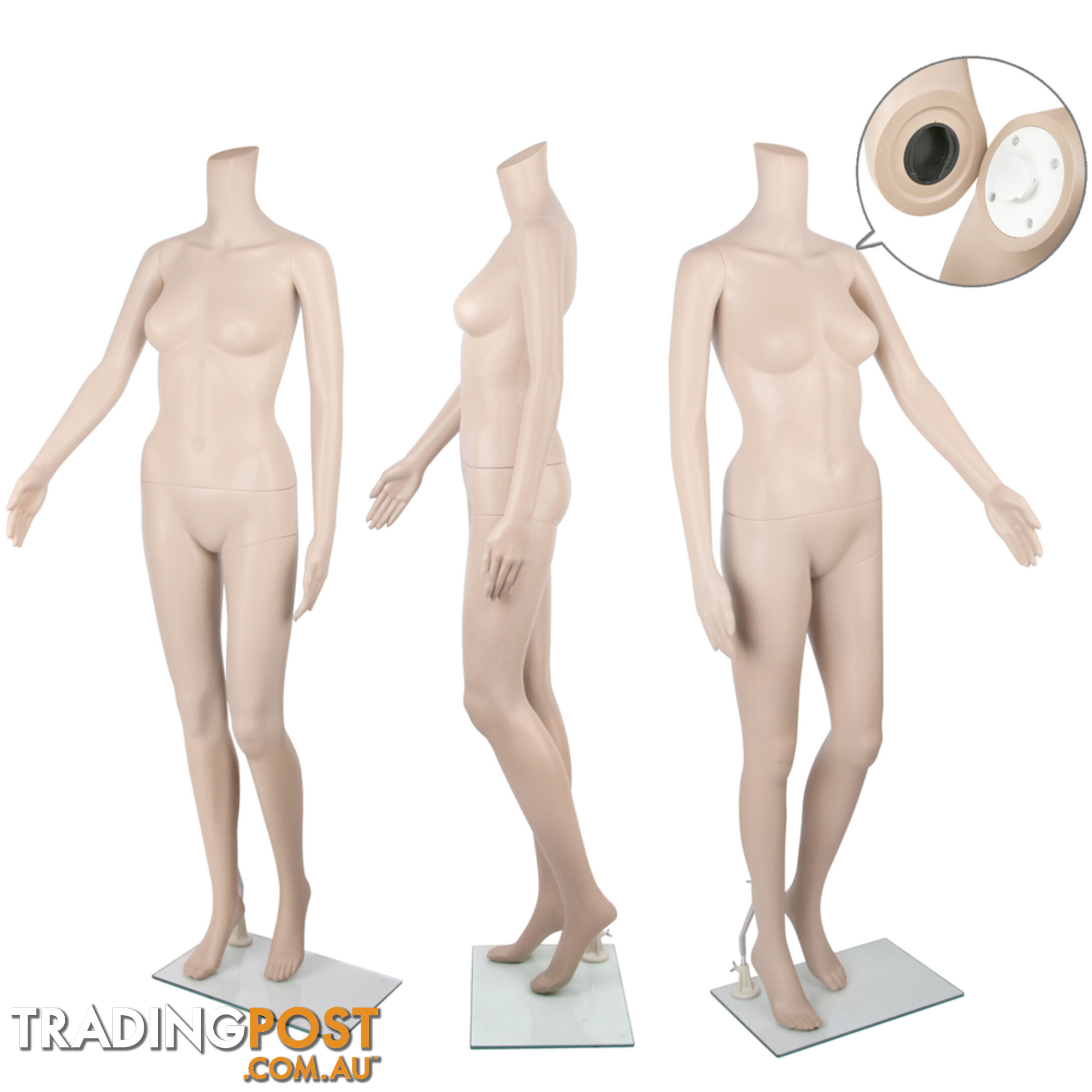 Full Body Female Mannequin Cloth Display Tailor Dressmaker Skin Tone 175cm