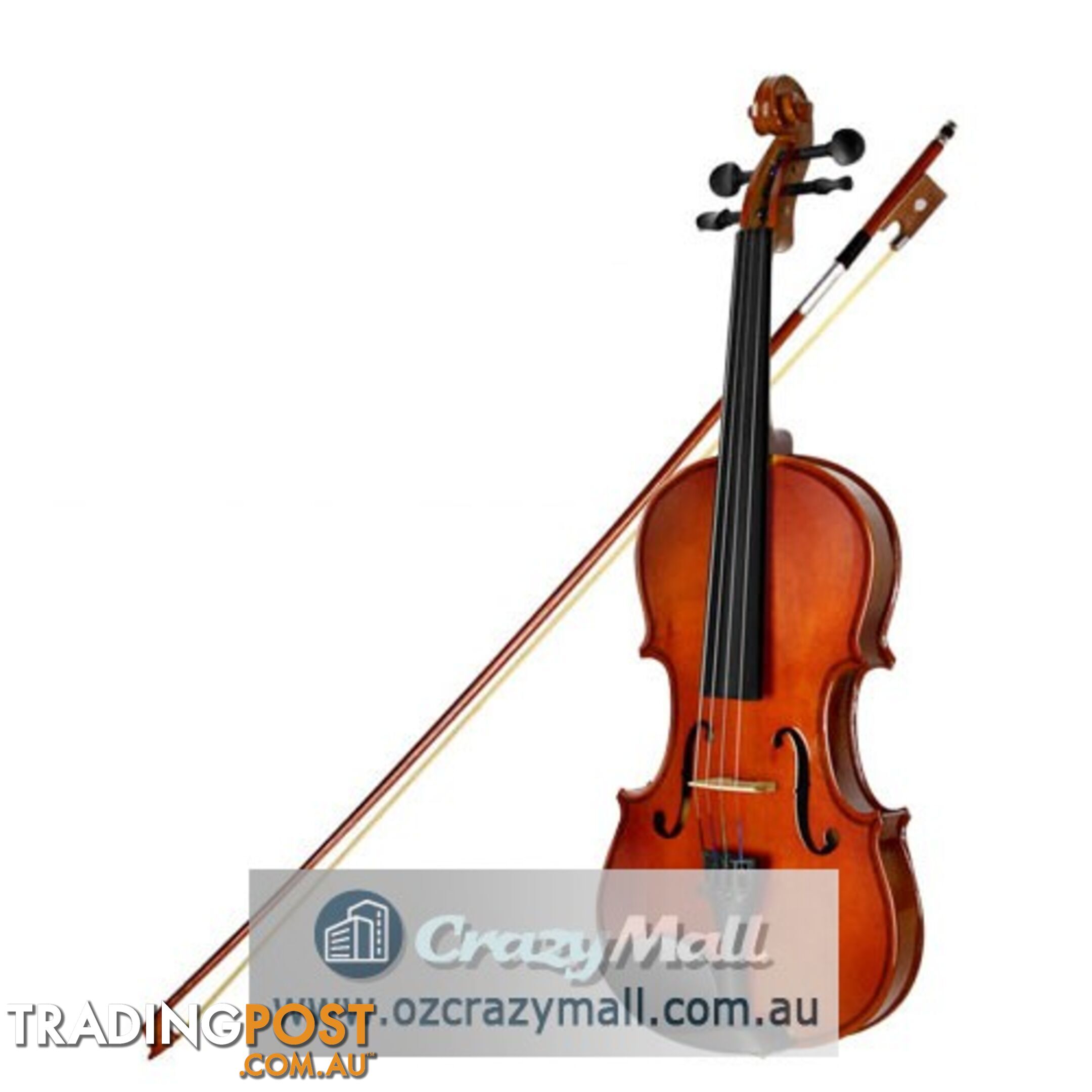 Full Size 4/4 Natural Wooden Beginner Violin Set Brown