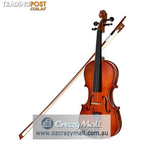 Full Size 4/4 Natural Wooden Beginner Violin Set Brown