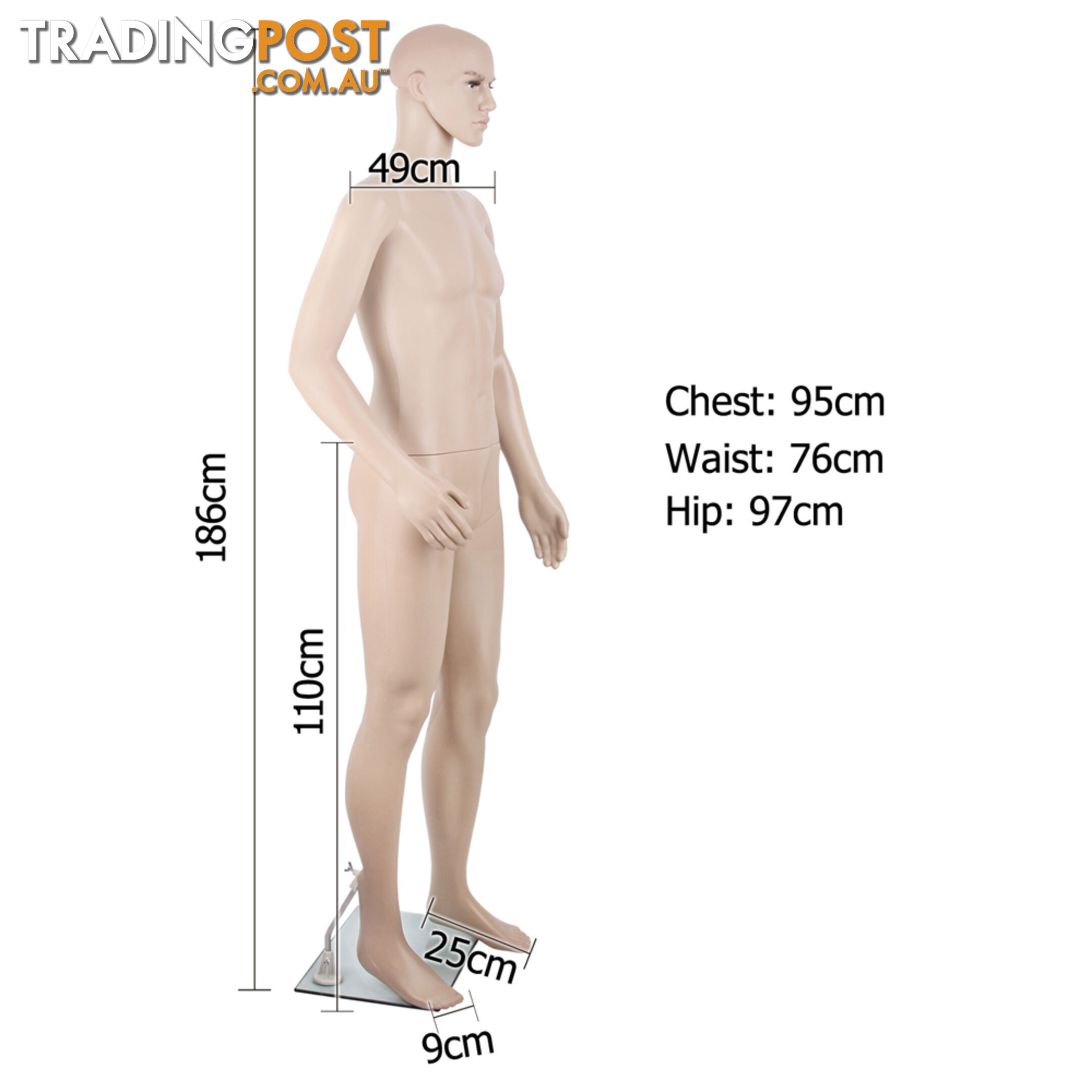 Full Body Male Mannequin Cloth Display Tailor Dressmaker Skin Tone 186cm