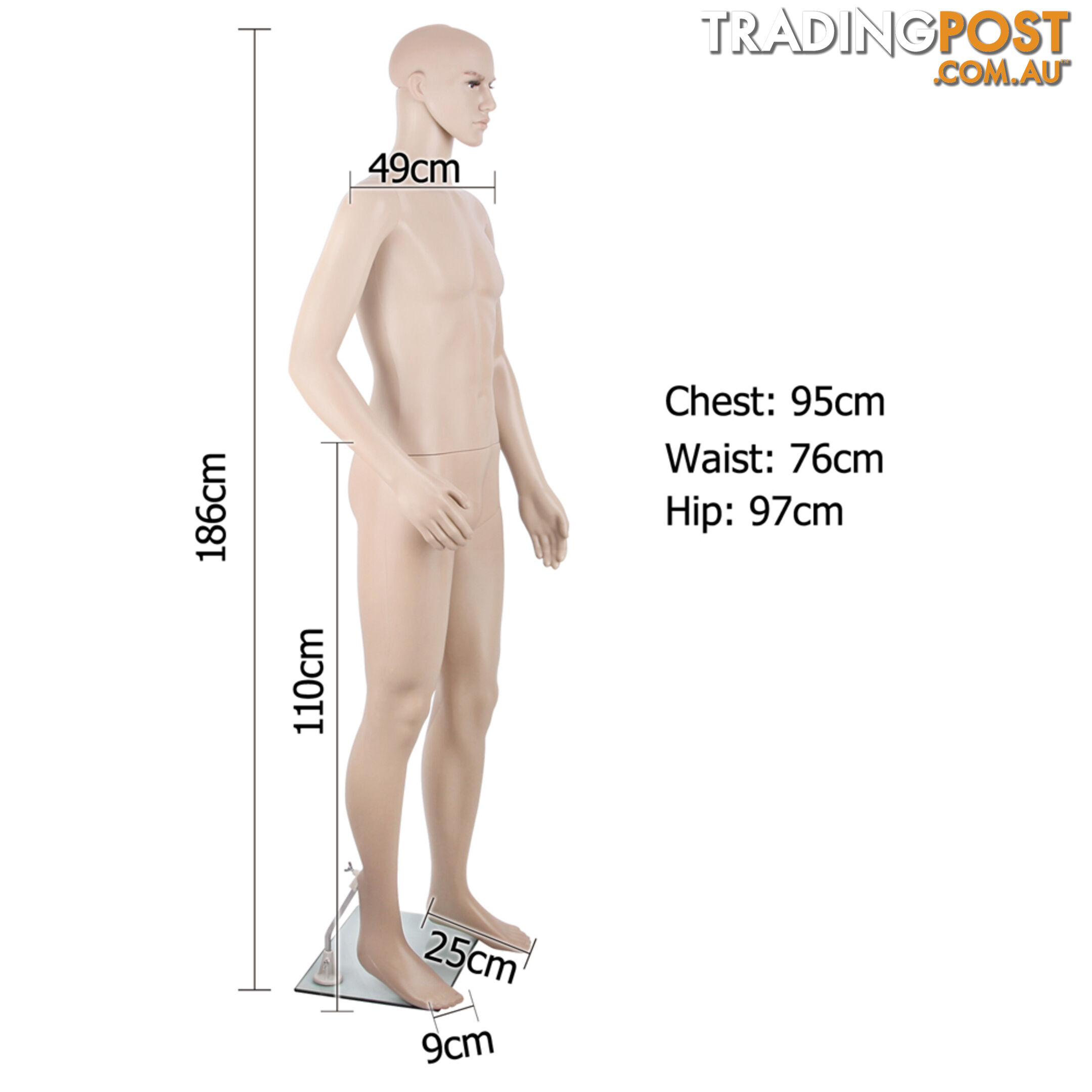 Full Body Male Mannequin Cloth Display Tailor Dressmaker Skin Tone 186cm