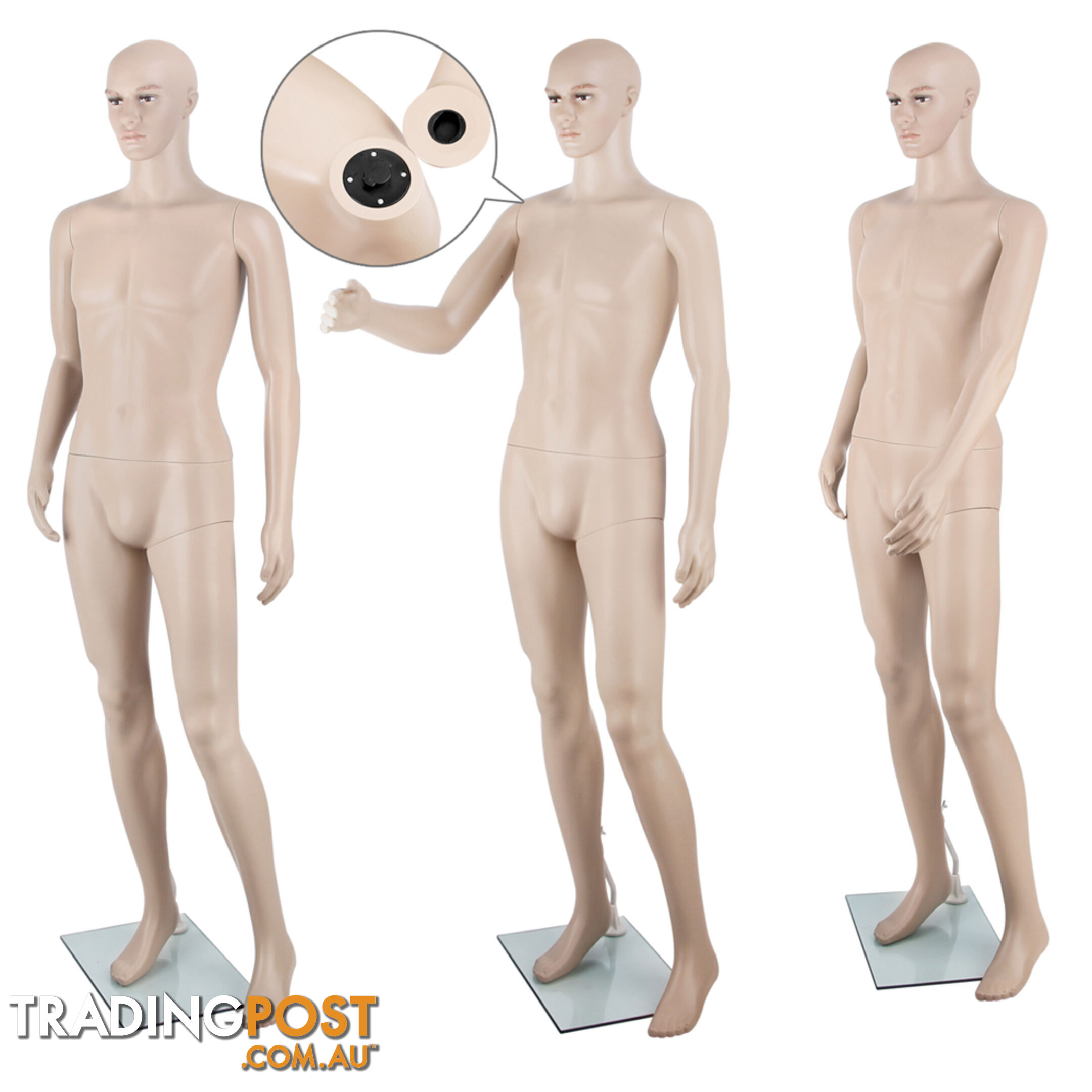 Full Body Male Mannequin Cloth Display Tailor Dressmaker Skin Tone 186cm
