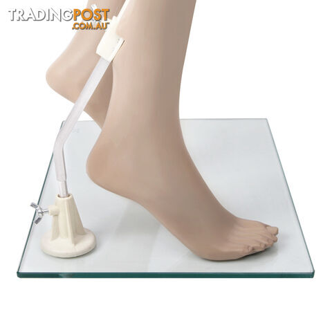 Full Body Female Mannequin Cloth Display Tailor Dressmaker Skin Tone 175cm