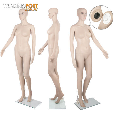 Full Body Female Mannequin Cloth Display Tailor Dressmaker Skin Tone 175cm