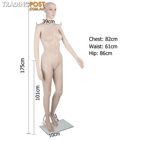 Full Body Female Mannequin Cloth Display Tailor Dressmaker Skin Tone 175cm