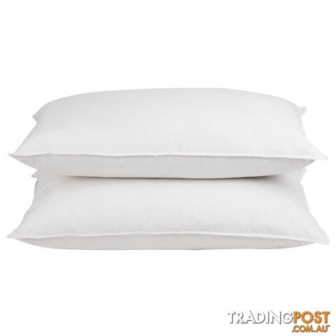 Set of 2 Duck Feather and Down Pillows