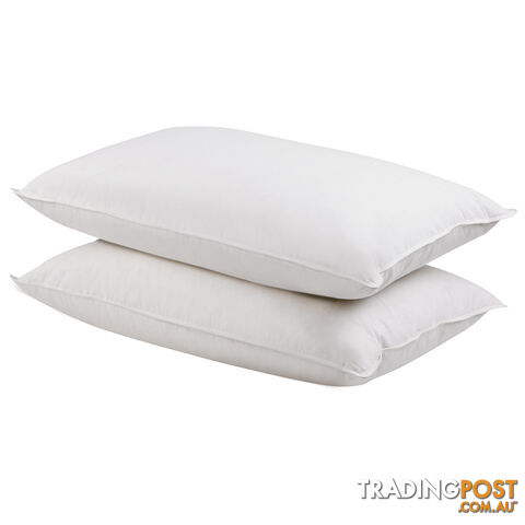 Set of 2 Duck Feather and Down Pillows