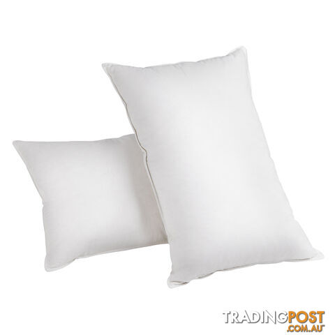 Set of 2 Duck Feather and Down Pillows