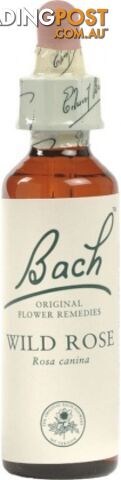 Bach Flower Wild Rose 20ml - Bach Flower - 5000488103373