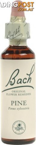 Bach Flower Pine 20ml - Bach Flower - 5000488103243