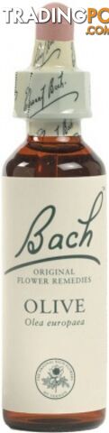 Bach Flower Olive 20ml - Bach Flower - 5000488103236
