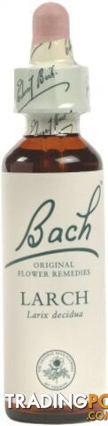 Bach Flower Larch 20ml - Bach Flower - 5000488103199